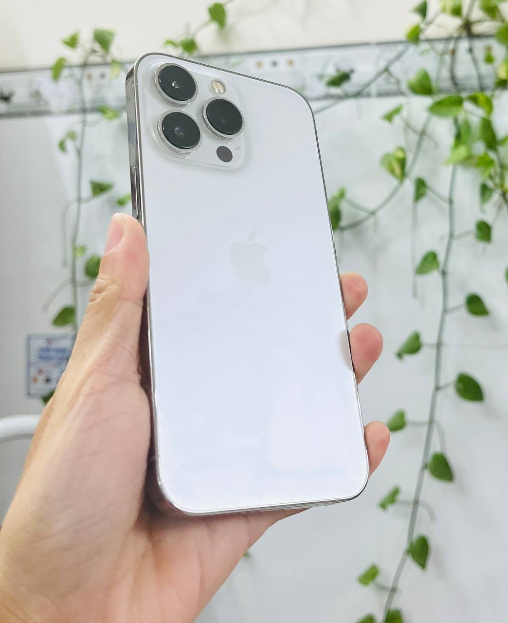 iPhone 13 Pro