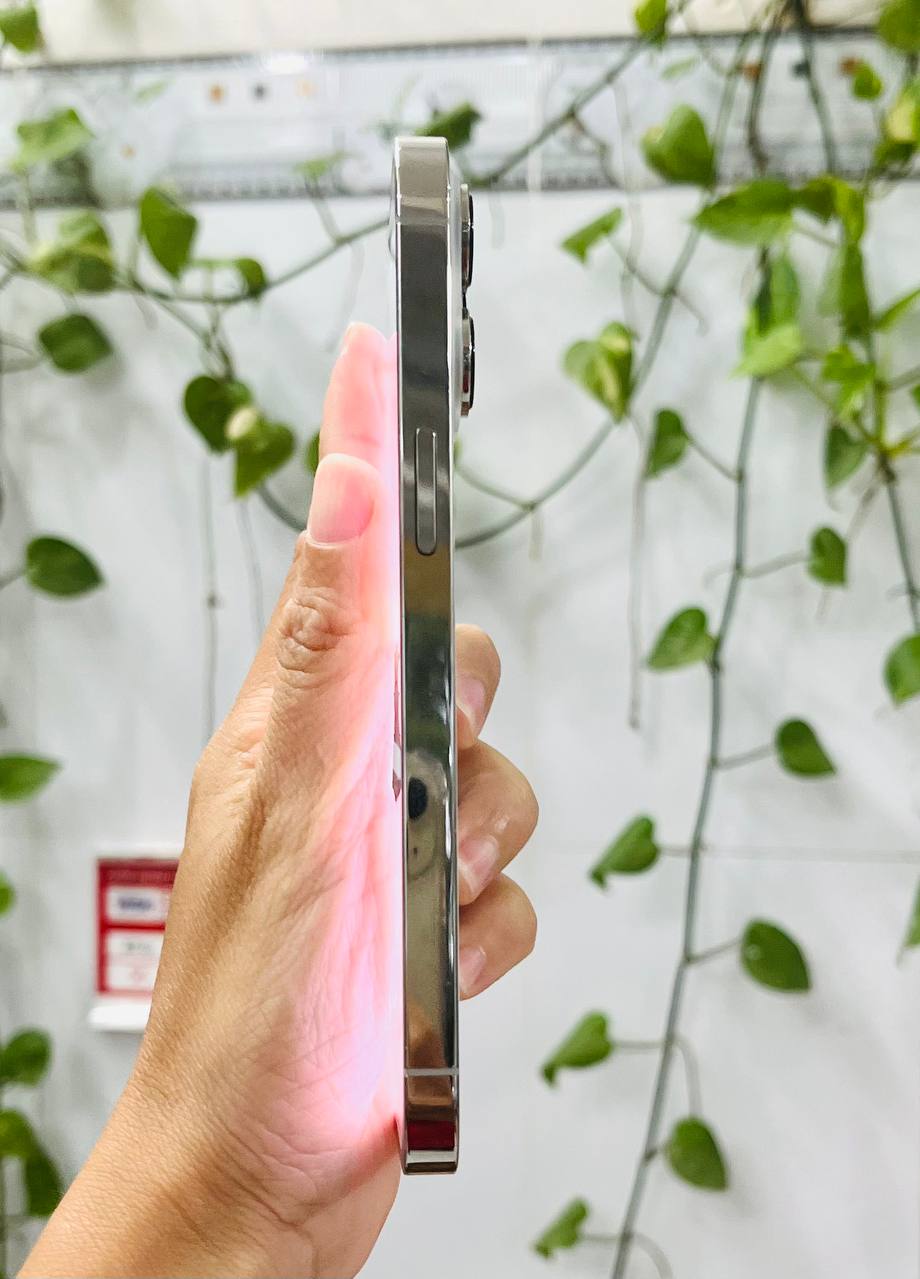 iPhone 13 Pro