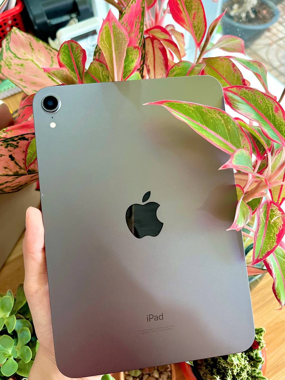 iPad mini (thế hệ 6)