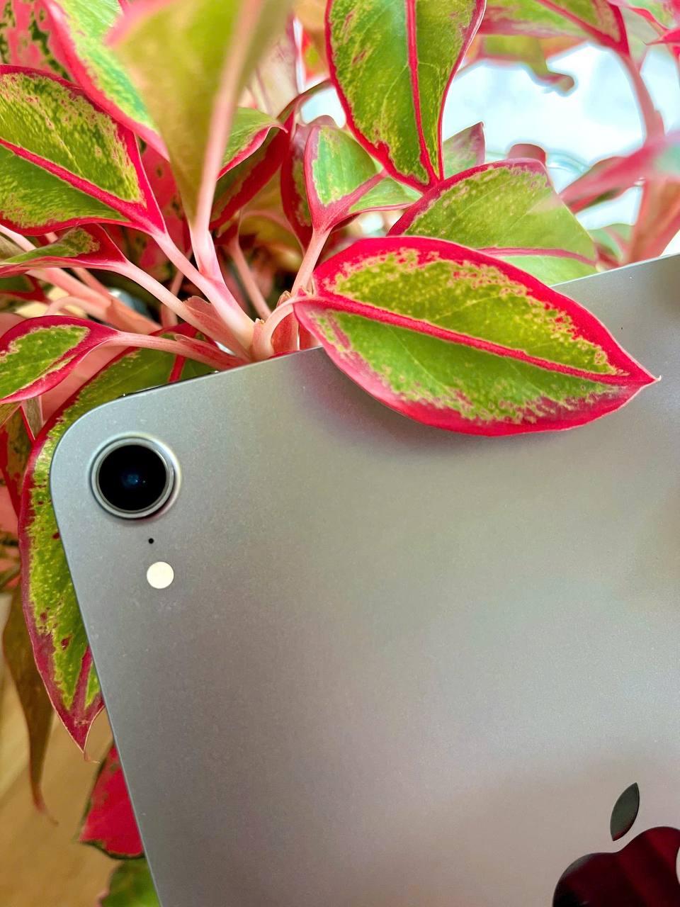 iPad mini (thế hệ 6)