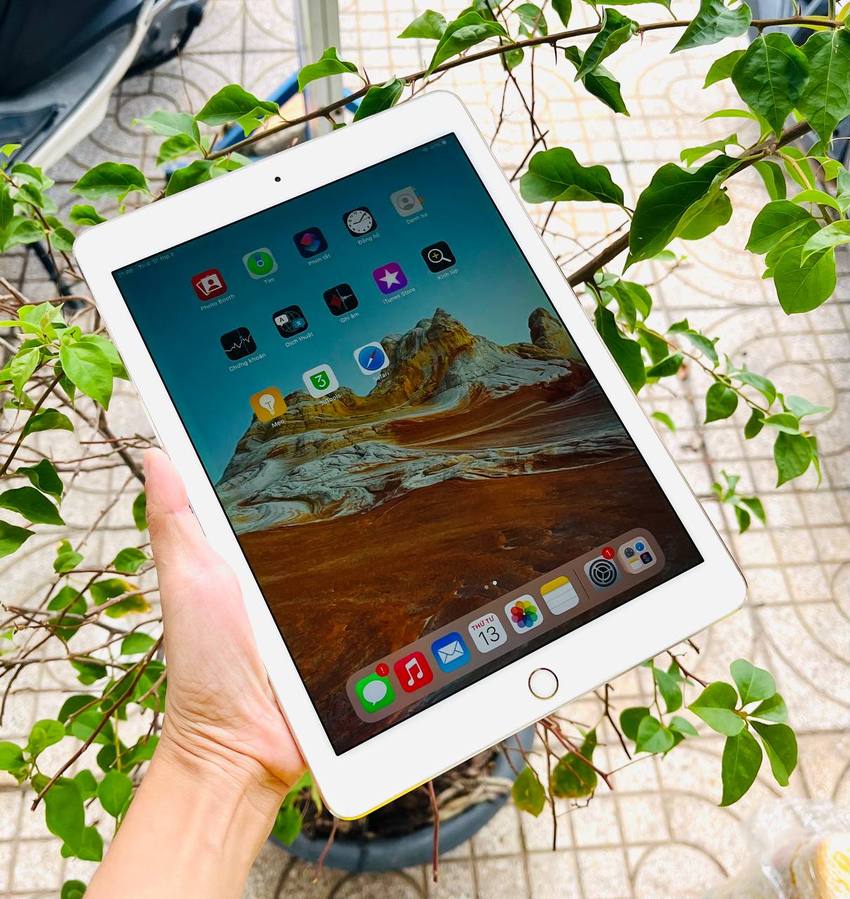 iPad Air 2