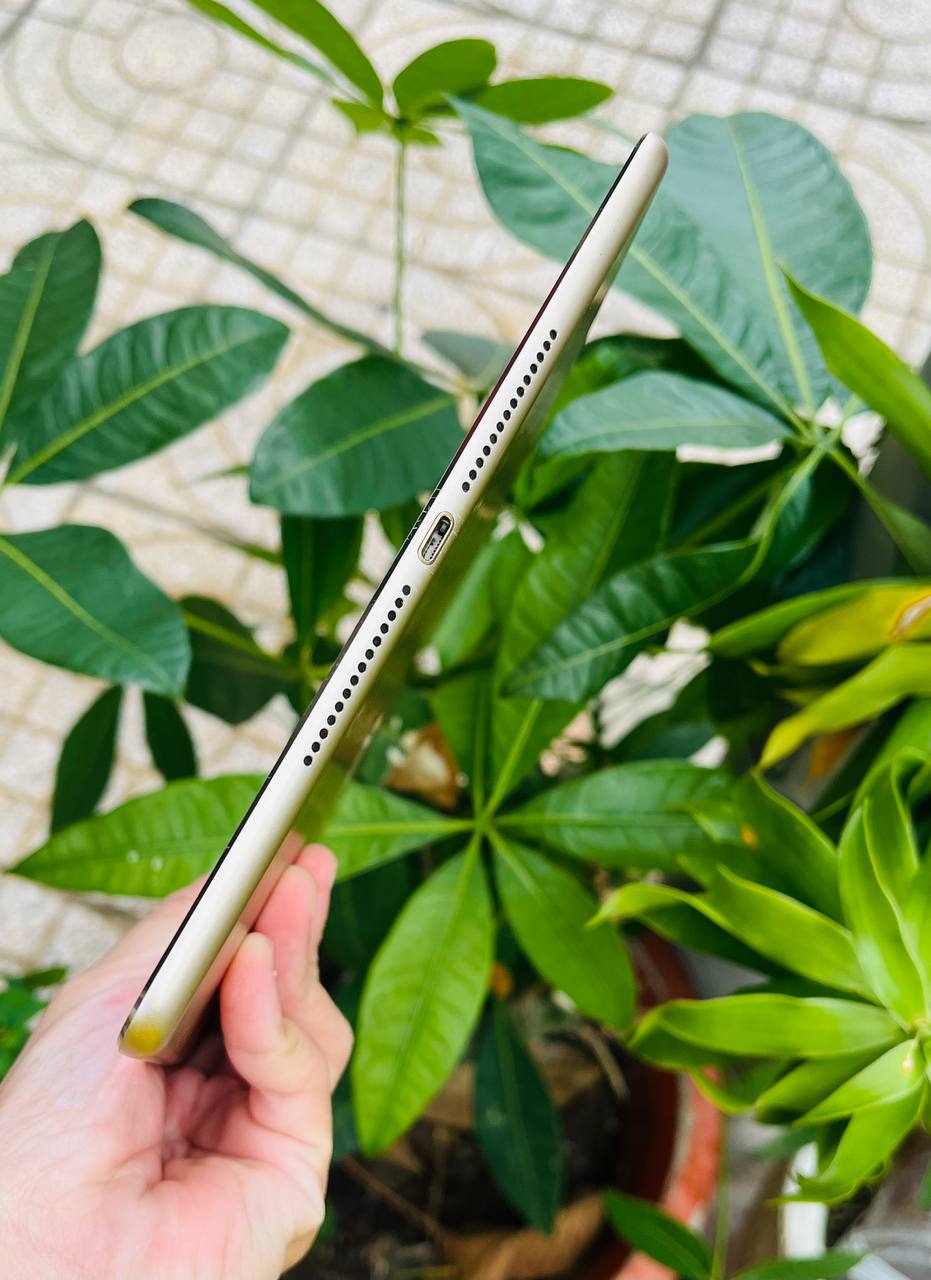 iPad Air 2