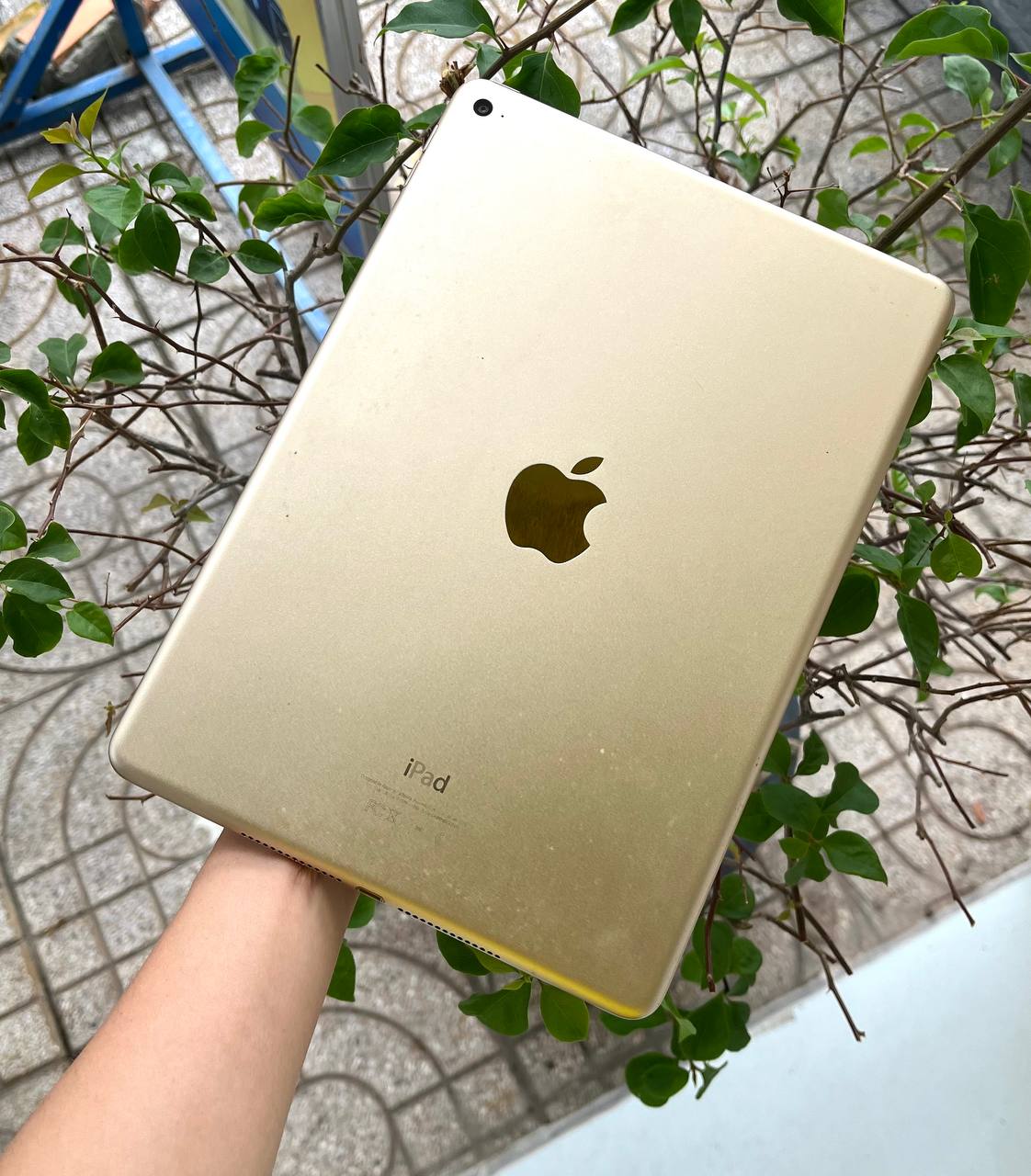 iPad Air 2