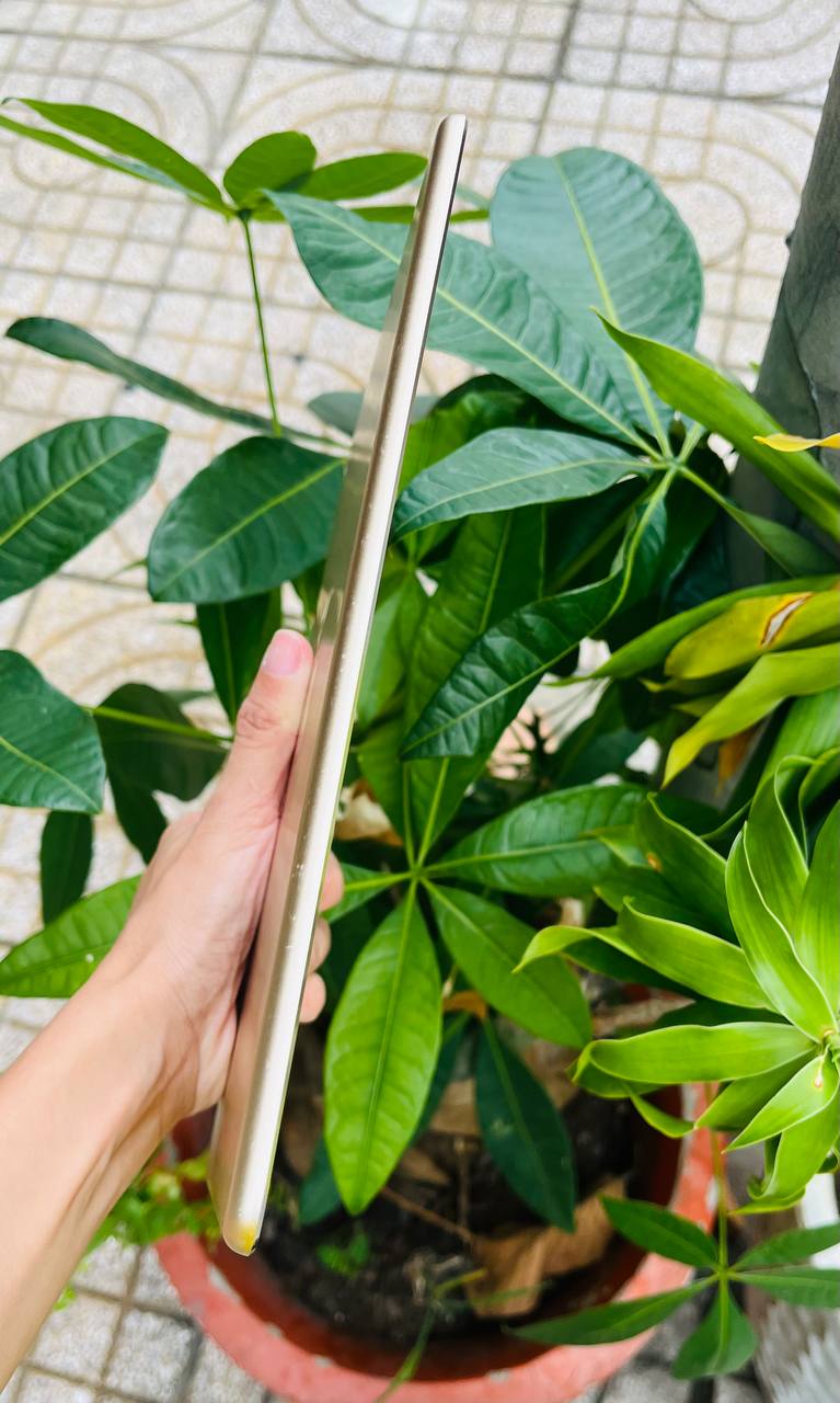 iPad Air 2