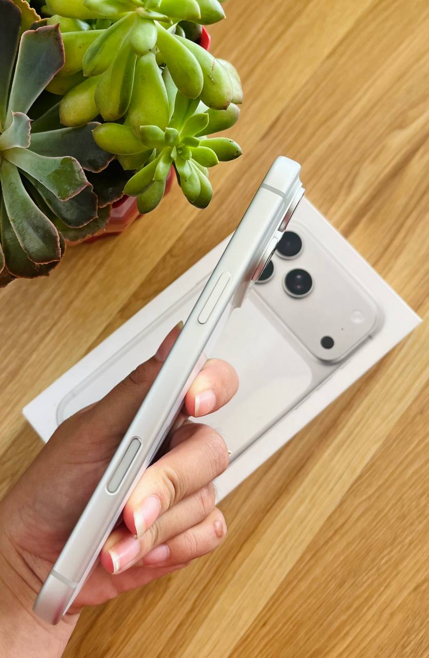 iPhone 17 Pro Max