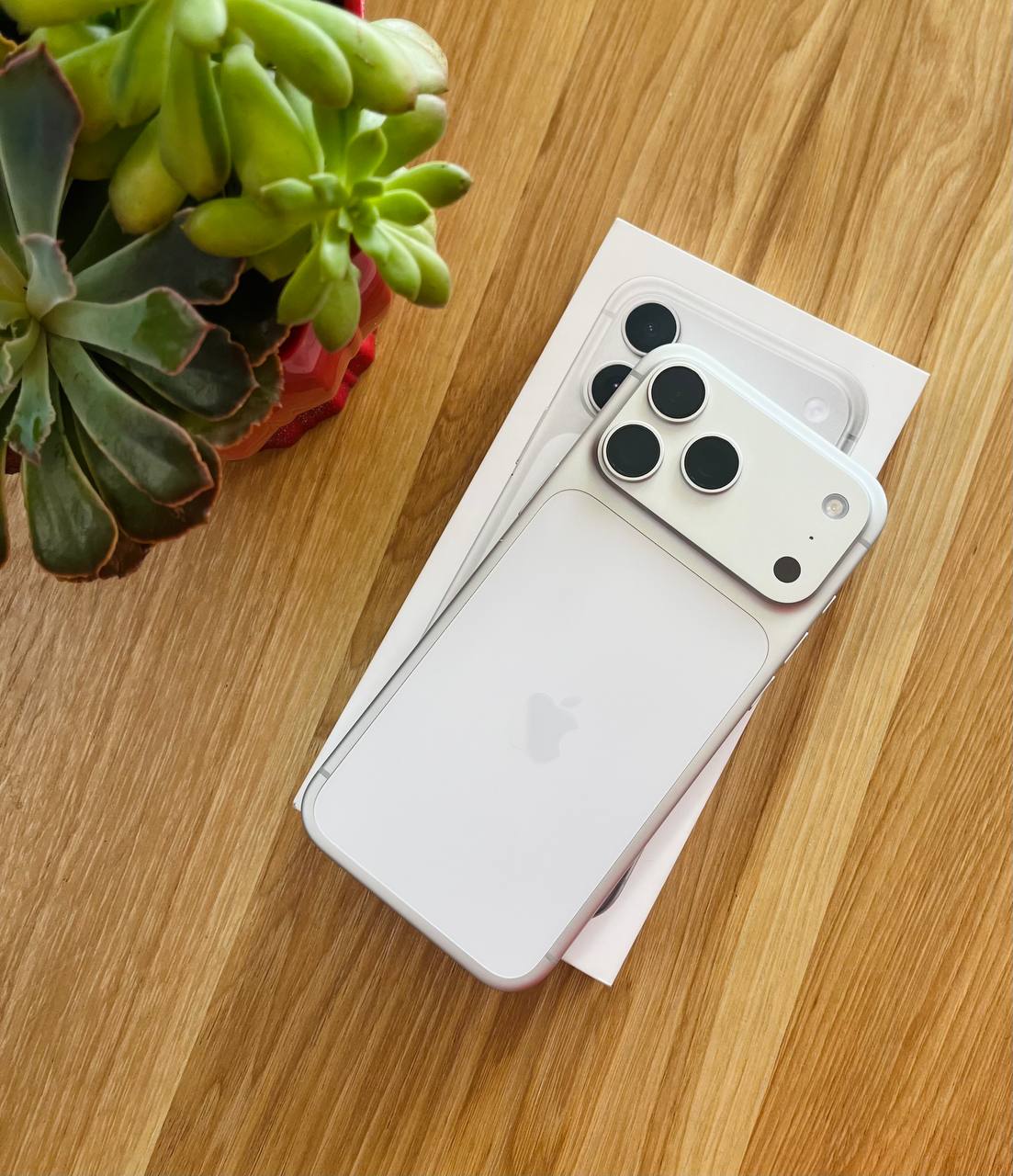 iPhone 17 Pro Max