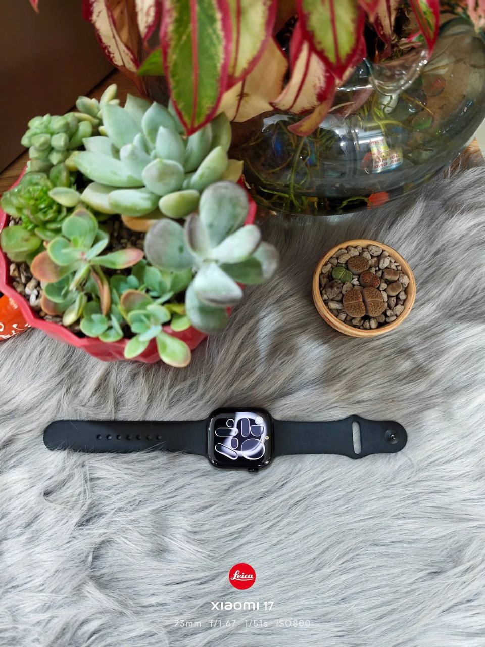 Apple Watch Series 11