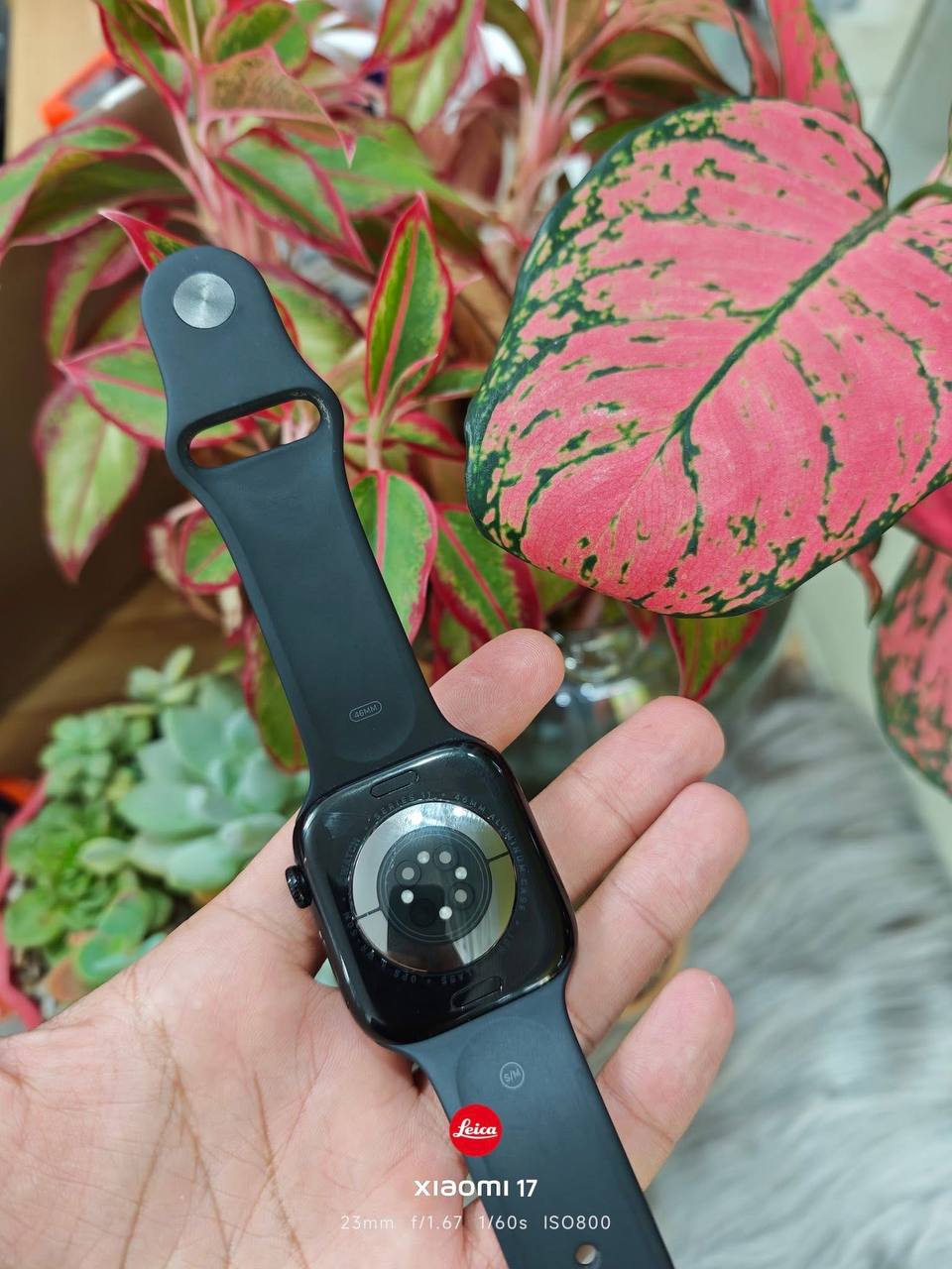 Apple Watch Series 11