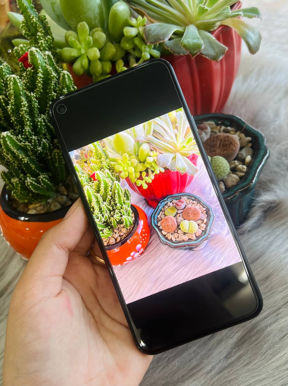 Google Pixel 5