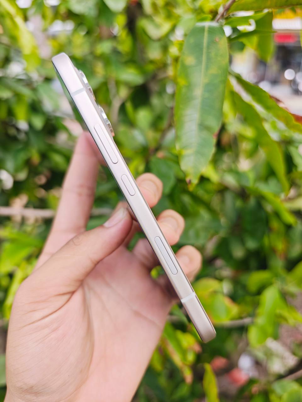 Honor 600 LTE