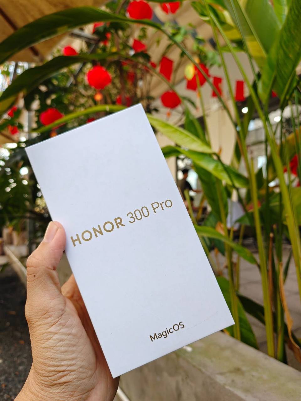 Honor 300 Pro
