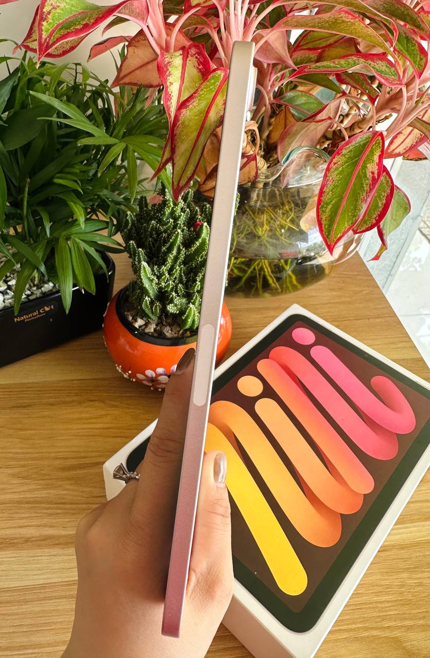 iPad mini 6